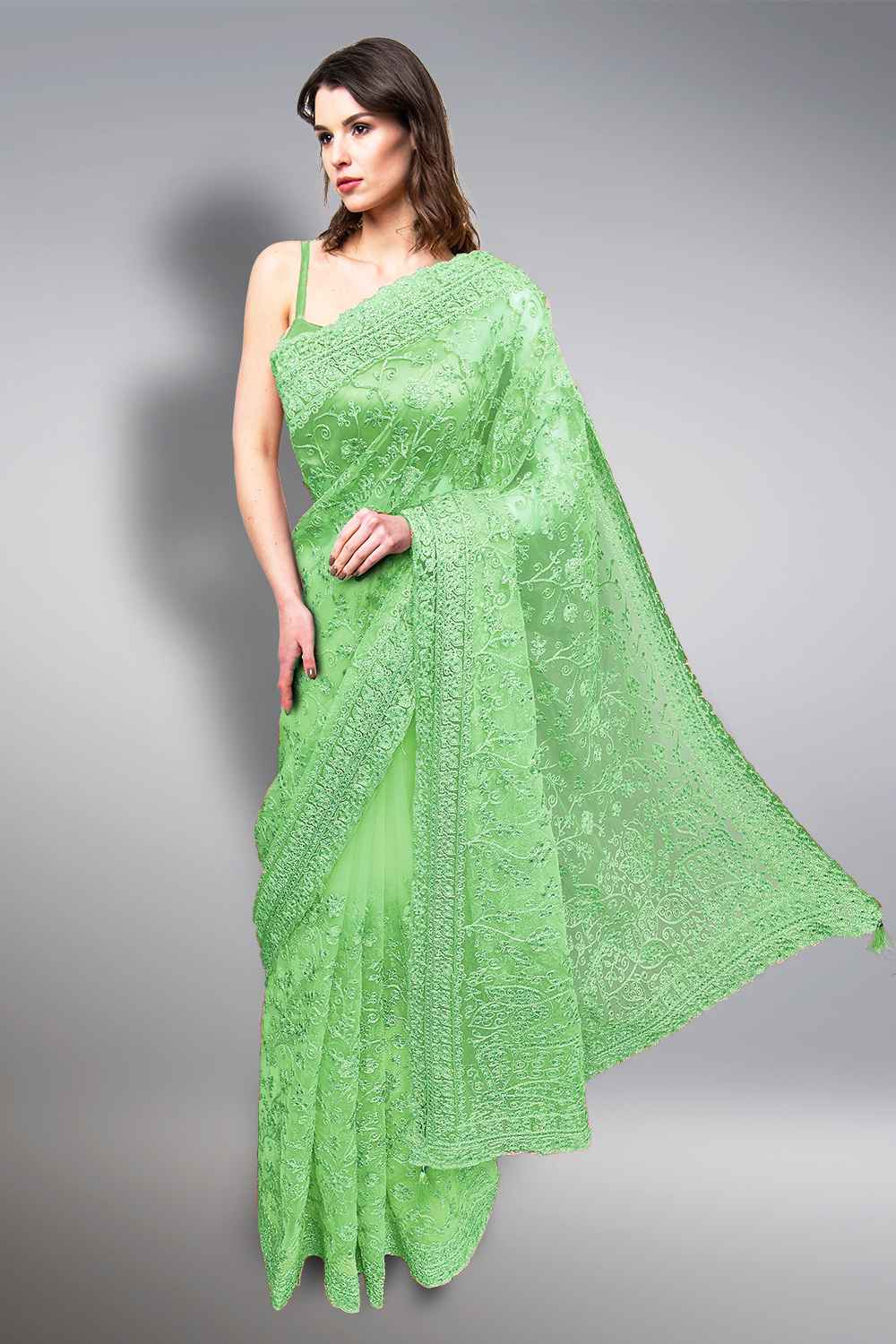 Fancy Net Saree
