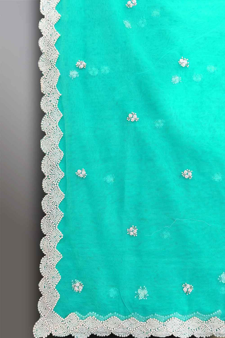 Moti Work Saree
