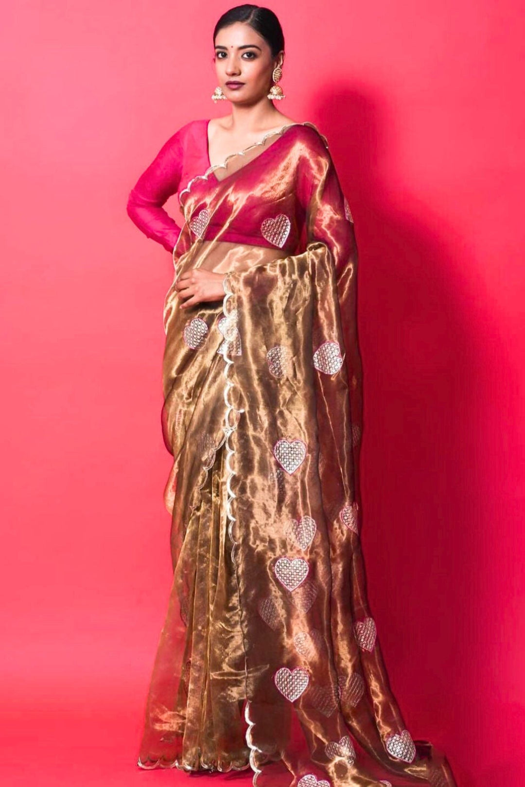 Organza Silk Saree with Embroidery